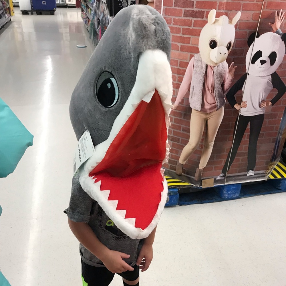 Meet your Posher, Lacy